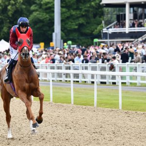 Newcastle | Northumberland Plate Festival | 27, 29/6/24