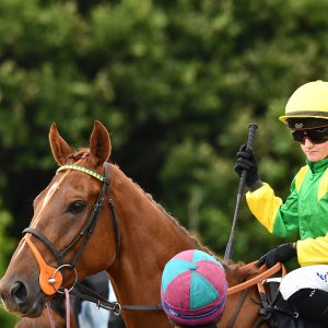 Newcastle | Northumberland Plate Festival | 27, 29/6/24