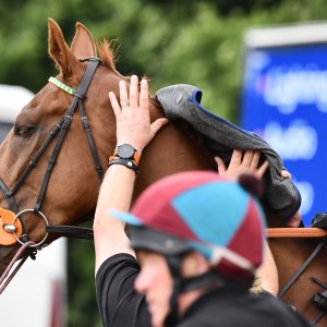 Newcastle | Northumberland Plate Festival | 27, 29/6/24