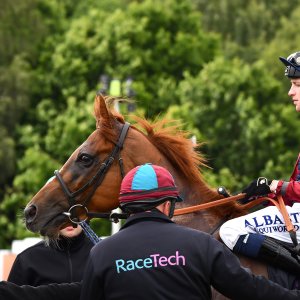 Newcastle | Northumberland Plate Festival | 27, 29/6/24