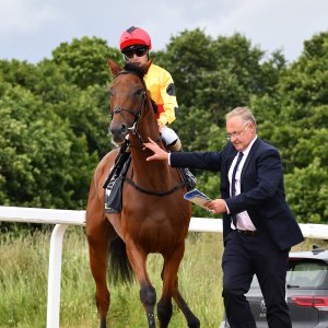 Newcastle | Northumberland Plate Festival | 27, 29/6/24