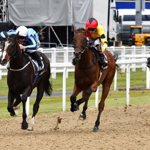 Newcastle | Northumberland Plate Festival | 27, 29/6/24