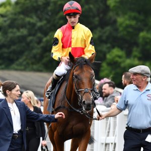 Newcastle | Northumberland Plate Festival | 27, 29/6/24