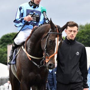 Newcastle | Northumberland Plate Festival | 27, 29/6/24