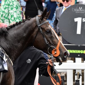 Newcastle | Northumberland Plate Festival | 27, 29/6/24