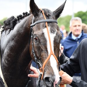 Newcastle | Northumberland Plate Festival | 27, 29/6/24