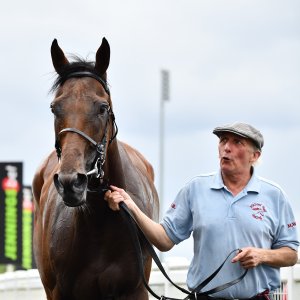 Newcastle | Northumberland Plate Festival | 27, 29/6/24