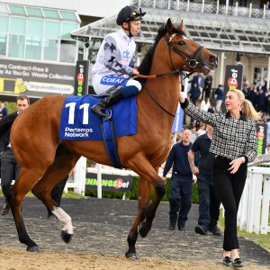 Newcastle | Northumberland Plate Festival | 27, 29/6/24