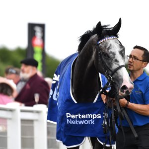 Newcastle | Northumberland Plate Festival | 27, 29/6/24