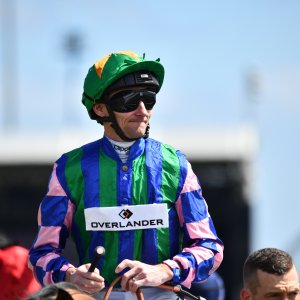 Newcastle | Northumberland Plate Festival | 27, 29/6/24