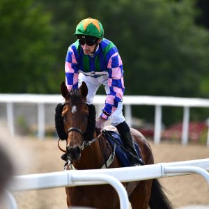 Newcastle | Northumberland Plate Festival | 27, 29/6/24