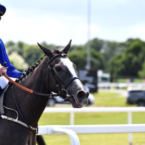 Newcastle | Northumberland Plate Festival | 27, 29/6/24