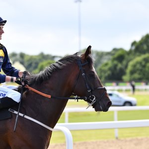 Newcastle | Northumberland Plate Festival | 27, 29/6/24