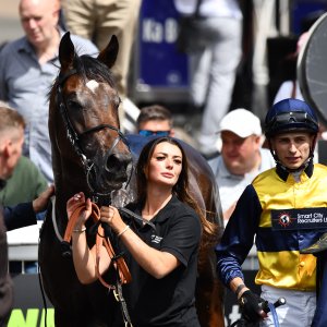 Newcastle | Northumberland Plate Festival | 27, 29/6/24