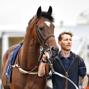 Newcastle | Northumberland Plate Festival | 27, 29/6/24