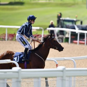 Newcastle | Northumberland Plate Festival | 27, 29/6/24