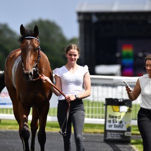 Newcastle | Northumberland Plate Festival | 27, 29/6/24