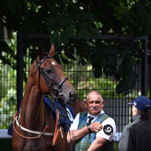 Newcastle | Northumberland Plate Festival | 27, 29/6/24