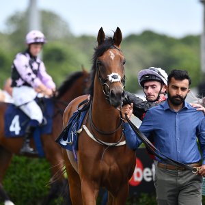 Newcastle | Northumberland Plate Festival | 27, 29/6/24