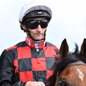 Newcastle | Northumberland Plate Festival | 27, 29/6/24