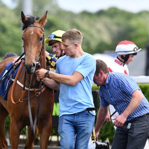 Newcastle | Northumberland Plate Festival | 27, 29/6/24