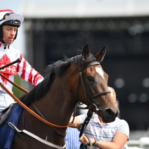 Newcastle | Northumberland Plate Festival | 27, 29/6/24