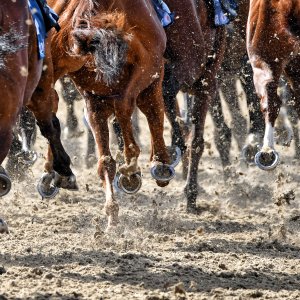 Newcastle | All-Weather Championships | 29/3/24