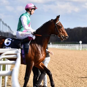 Newcastle | All-Weather Championships | 29/3/24