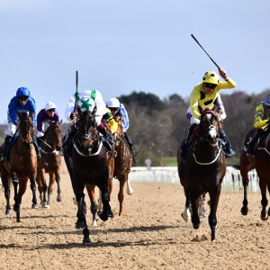 Newcastle | All-Weather Championships | 29/3/24