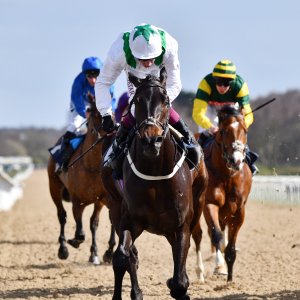 Newcastle | All-Weather Championships | 29/3/24