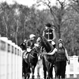 Newcastle | All-Weather Championships | 29/3/24