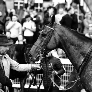 Newcastle | All-Weather Championships | 29/3/24