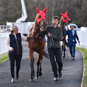 Newcastle | All-Weather Championships | 29/3/24