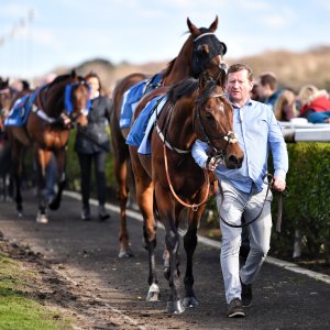 Newcastle | All-Weather Championships | 29/3/24