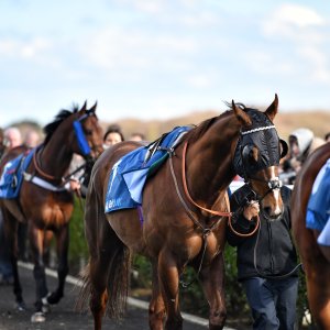 Newcastle | All-Weather Championships | 29/3/24