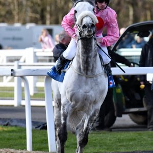 Newcastle | All-Weather Championships | 29/3/24