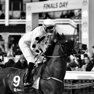 Newcastle | All-Weather Championships | 29/3/24