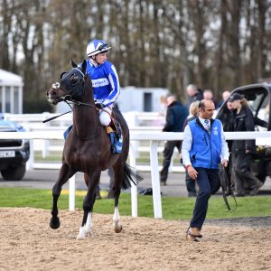 Newcastle | All-Weather Championships | 29/3/24