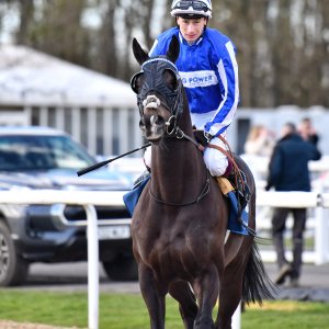 Newcastle | All-Weather Championships | 29/3/24