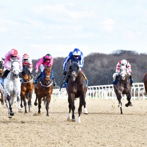 Newcastle | All-Weather Championships | 29/3/24