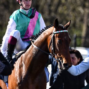 Newcastle | All-Weather Championships | 29/3/24