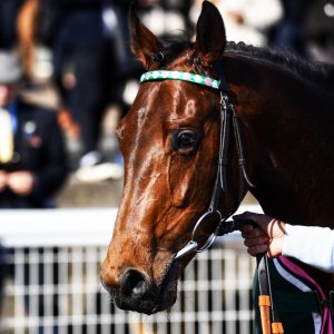 Newcastle | All-Weather Championships | 29/3/24