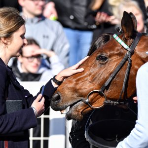 Newcastle | All-Weather Championships | 29/3/24