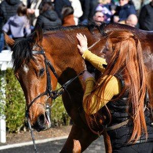 Newcastle | All-Weather Championships | 29/3/24