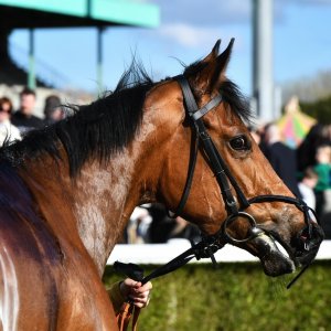 Newcastle | All-Weather Championships | 29/3/24