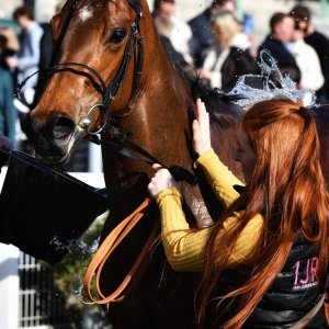 Newcastle | All-Weather Championships | 29/3/24