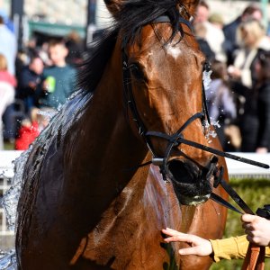 Newcastle | All-Weather Championships | 29/3/24