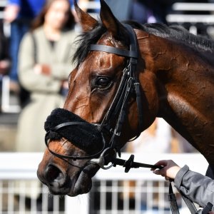 Newcastle | All-Weather Championships | 29/3/24