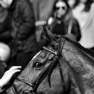 Newcastle | All-Weather Championships | 29/3/24