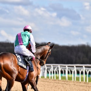 Newcastle | All-Weather Championships | 29/3/24